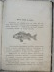 Руководство к ужению рыбы. Комаров И. 
