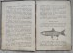Руководство к ужению рыбы. Комаров И. 