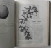 Крымское промышленное плодоводство. Симиренко Л.П.