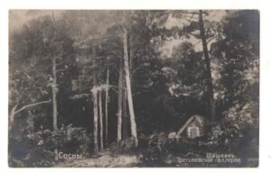 Шишкин И.Сосны.