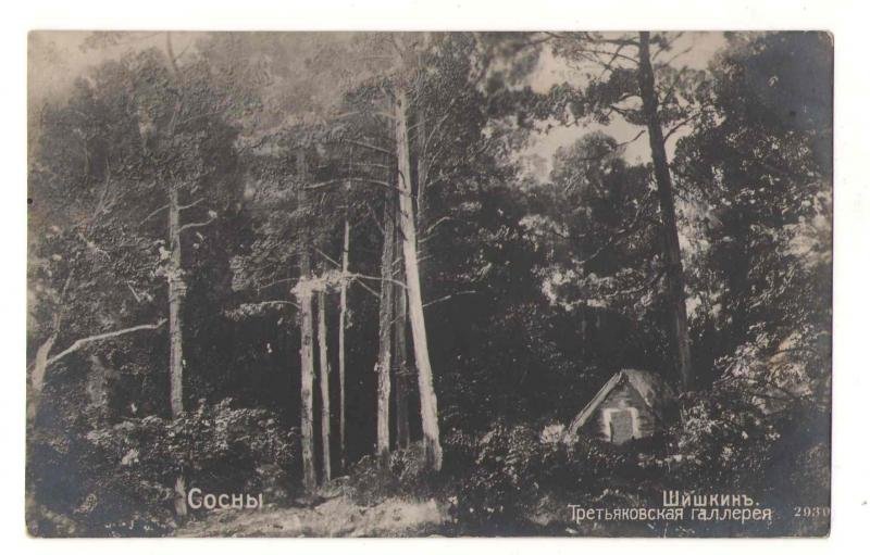 Шишкин И. Сосны. Шишкин И. Сосны.