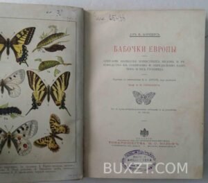 Бабочки Европы. Борециус Ф.