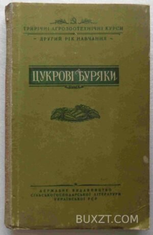Цукрові буряки. 1951