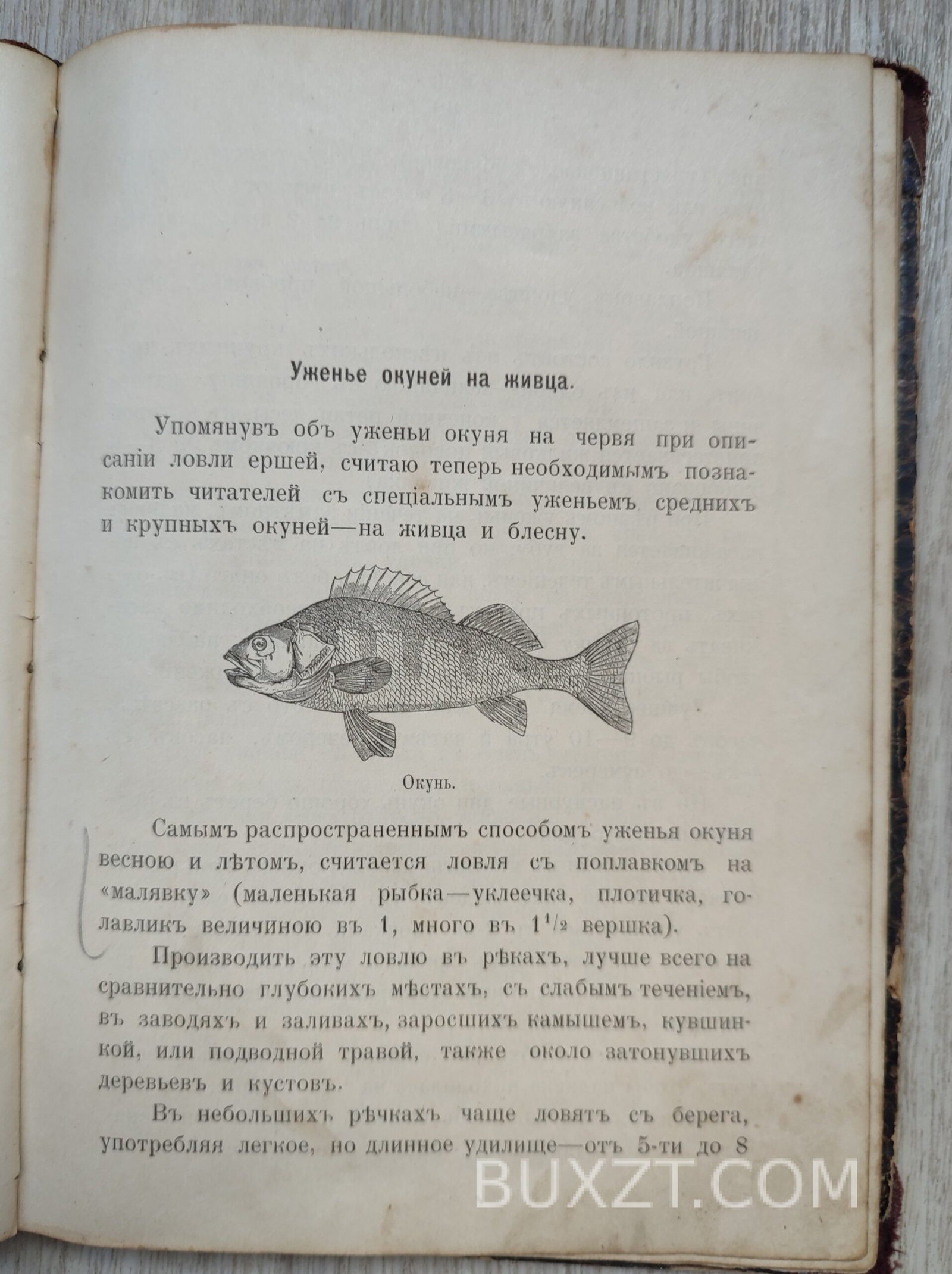 Руководство к ужению рыбы. Комаров И. Руководство к ужению рыбы. Комаров И.