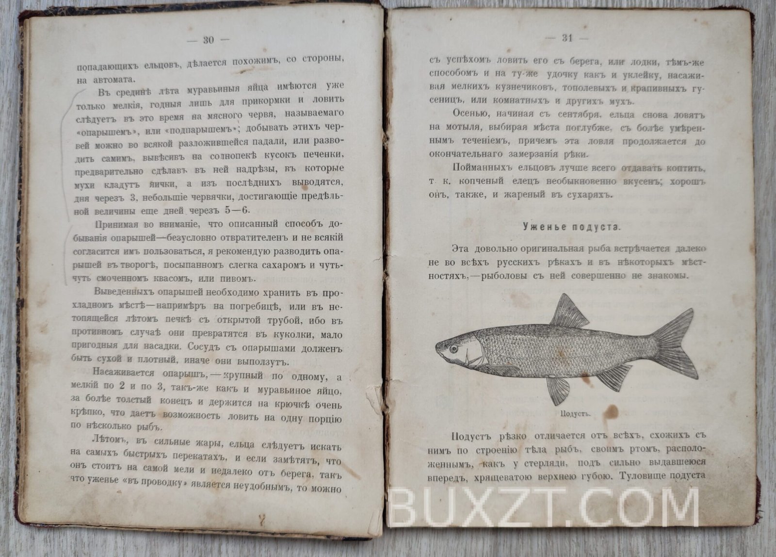 Руководство к ужению рыбы. Комаров И. Руководство к ужению рыбы. Комаров И.