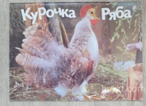 Курочка ряба. Колобок. 1988
